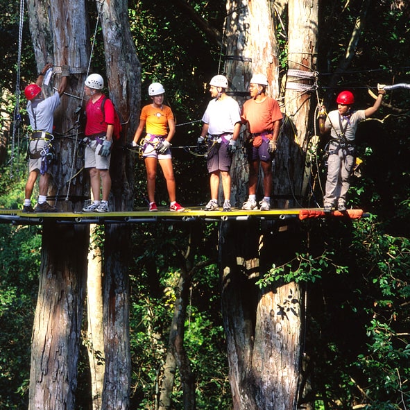 Gozar de la emoción del canopy – RIVIERA NAYARIT, AVENTURA Y ECOTURISMO